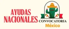 https://convocatorias.ayudasnacionales.site
